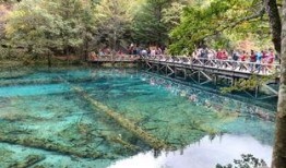 北关文化沟最新爆料,揭秘古文明遗迹的神秘面纱